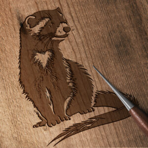 629_Ferret_5548-transparent-wood_etching_1.jpg