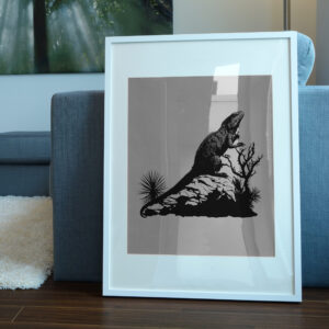 645_Iguana_on_a_rock_5337-transparent-picture_frame_1.jpg