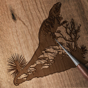 645_Iguana_on_a_rock_5337-transparent-wood_etching_1.jpg