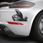 647_iguana_on_a_rock_4229-transparent-car_sticker_1.jpg