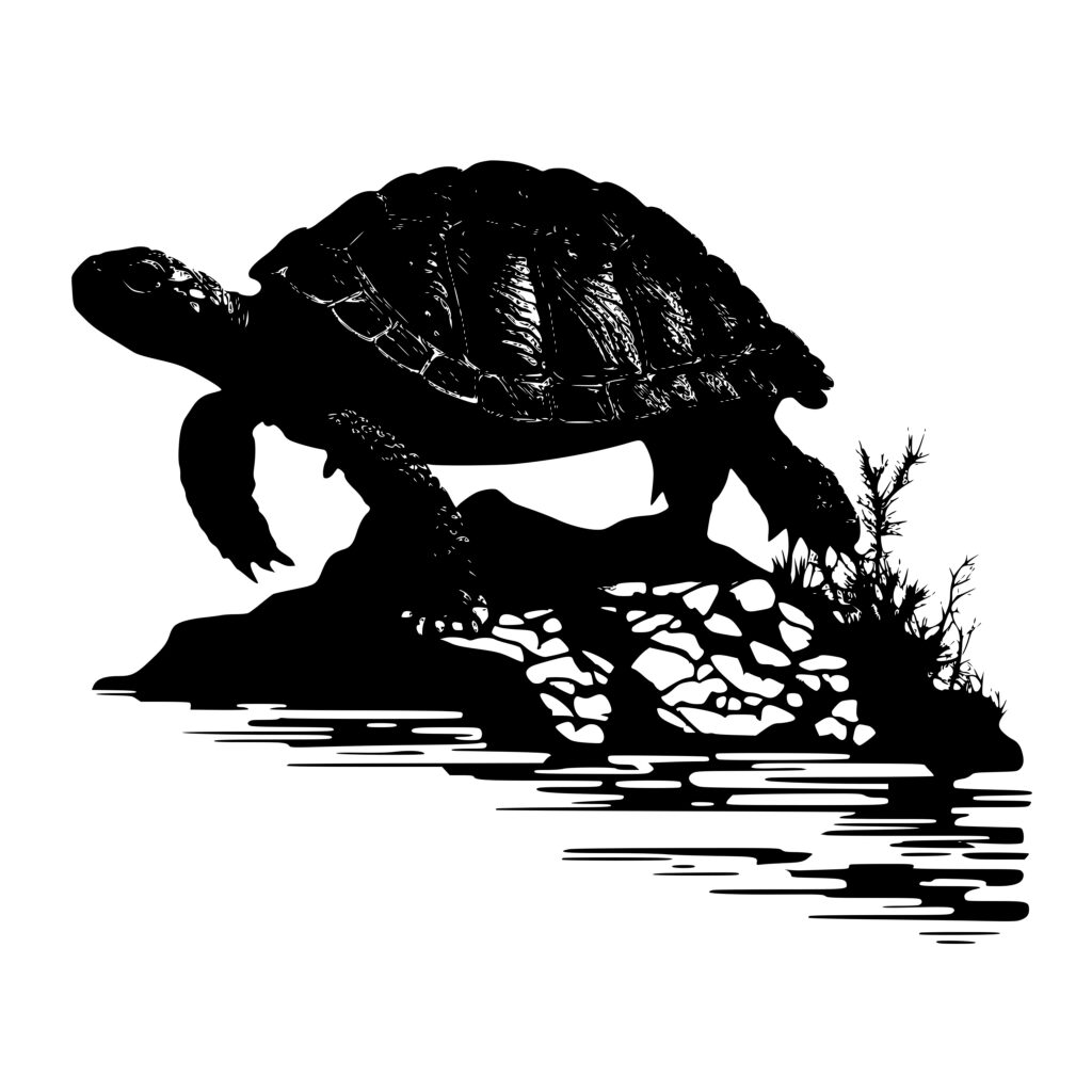 SVG File for Cricut, Silhouette, xTool, Glowforge | Turtle On A Rock