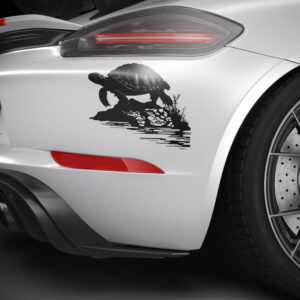 672_Turtle_on_a_rock_5383-transparent-car_sticker_1.jpg