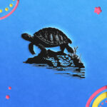672_Turtle_on_a_rock_5383-transparent-paper_cut_out_1.jpg