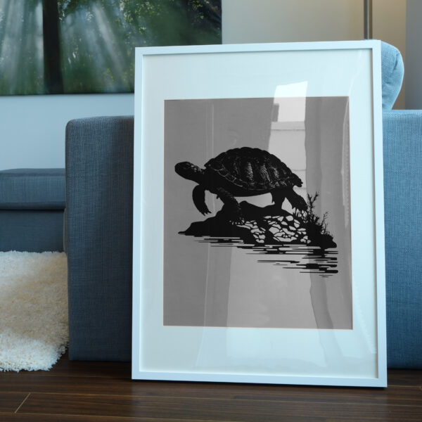 672_Turtle_on_a_rock_5383-transparent-picture_frame_1.jpg
