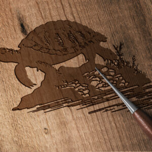 672_Turtle_on_a_rock_5383-transparent-wood_etching_1.jpg