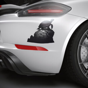 673_Turtle_on_a_rock_4903-transparent-car_sticker_1.jpg