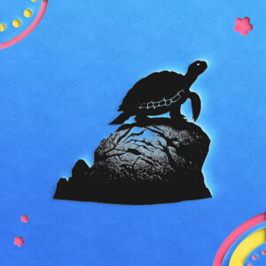 673_Turtle_on_a_rock_4903-transparent-paper_cut_out_1.jpg