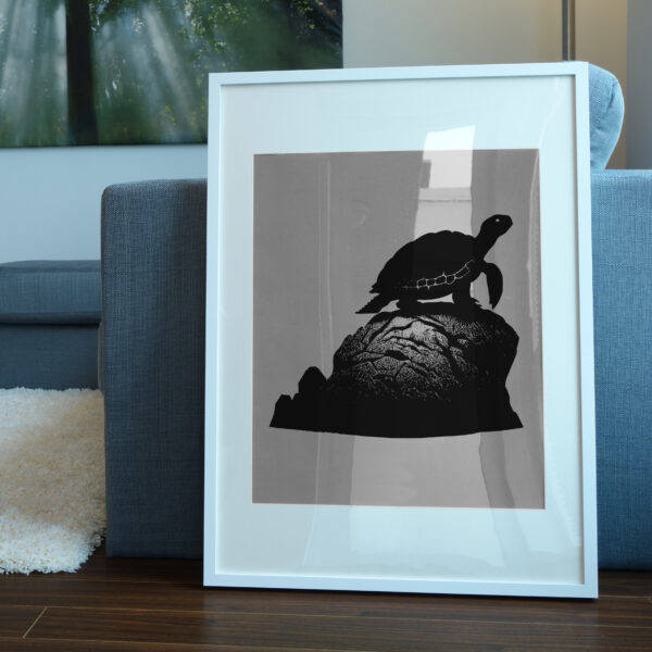 673_Turtle_on_a_rock_4903-transparent-picture_frame_1.jpg