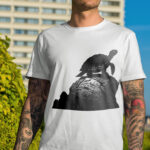 673_Turtle_on_a_rock_4903-transparent-tshirt_1.jpg