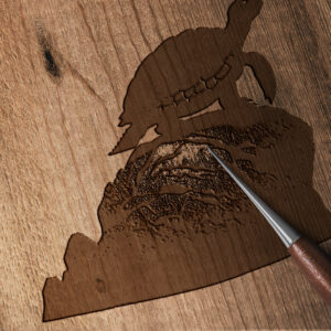 673_Turtle_on_a_rock_4903-transparent-wood_etching_1.jpg