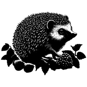 690_Hedgehog_with_a_strawberry_8128.jpeg