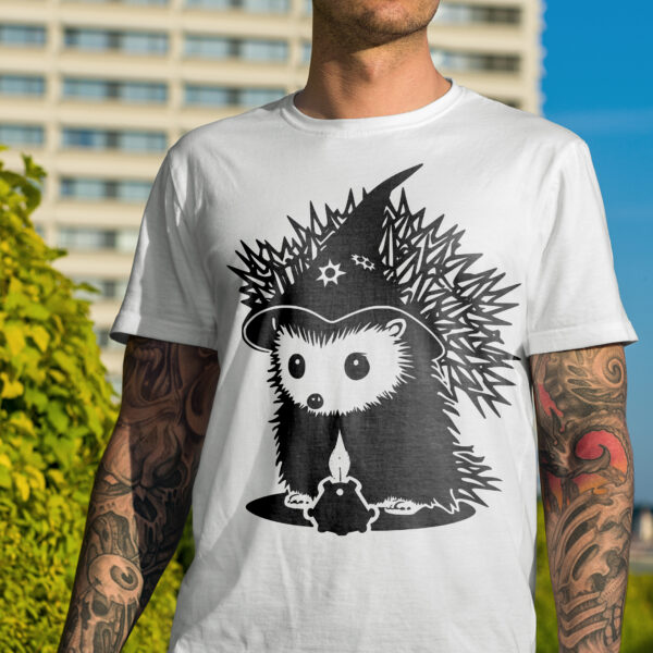 691_Hedgehog_wizard_4596-transparent-tshirt_1.jpg