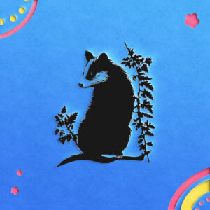 695_Opossum_9175-transparent-paper_cut_out_1.jpg