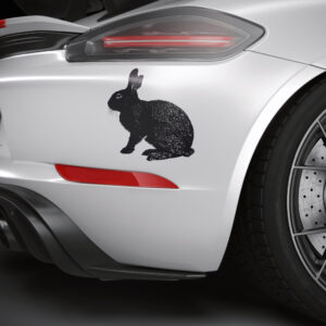 703_Rabbit_4933-transparent-car_sticker_1.jpg