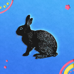 703_Rabbit_4933-transparent-paper_cut_out_1.jpg