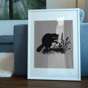 704_Raccoon_foraging_for_food_1804-transparent-picture_frame_1.jpg
