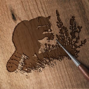 704_Raccoon_foraging_for_food_1804-transparent-wood_etching_1.jpg
