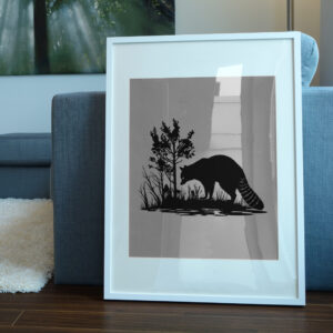 705_Raccoon_foraging_for_food_6468-transparent-picture_frame_1.jpg