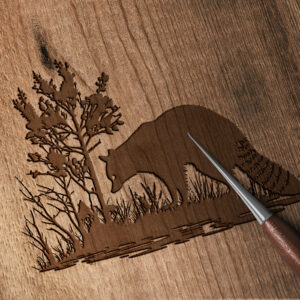 705_Raccoon_foraging_for_food_6468-transparent-wood_etching_1.jpg