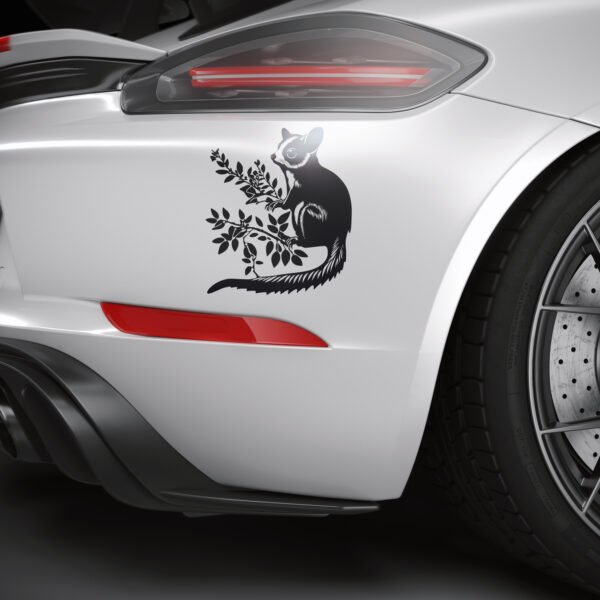 726_Sugar_Glider_3870-transparent-car_sticker_1.jpg