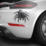 731_Tarantula_9509-transparent-car_sticker_1.jpg