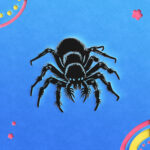 731_Tarantula_9509-transparent-paper_cut_out_1.jpg