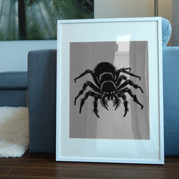 731_Tarantula_9509-transparent-picture_frame_1.jpg