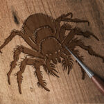 731_Tarantula_9509-transparent-wood_etching_1.jpg