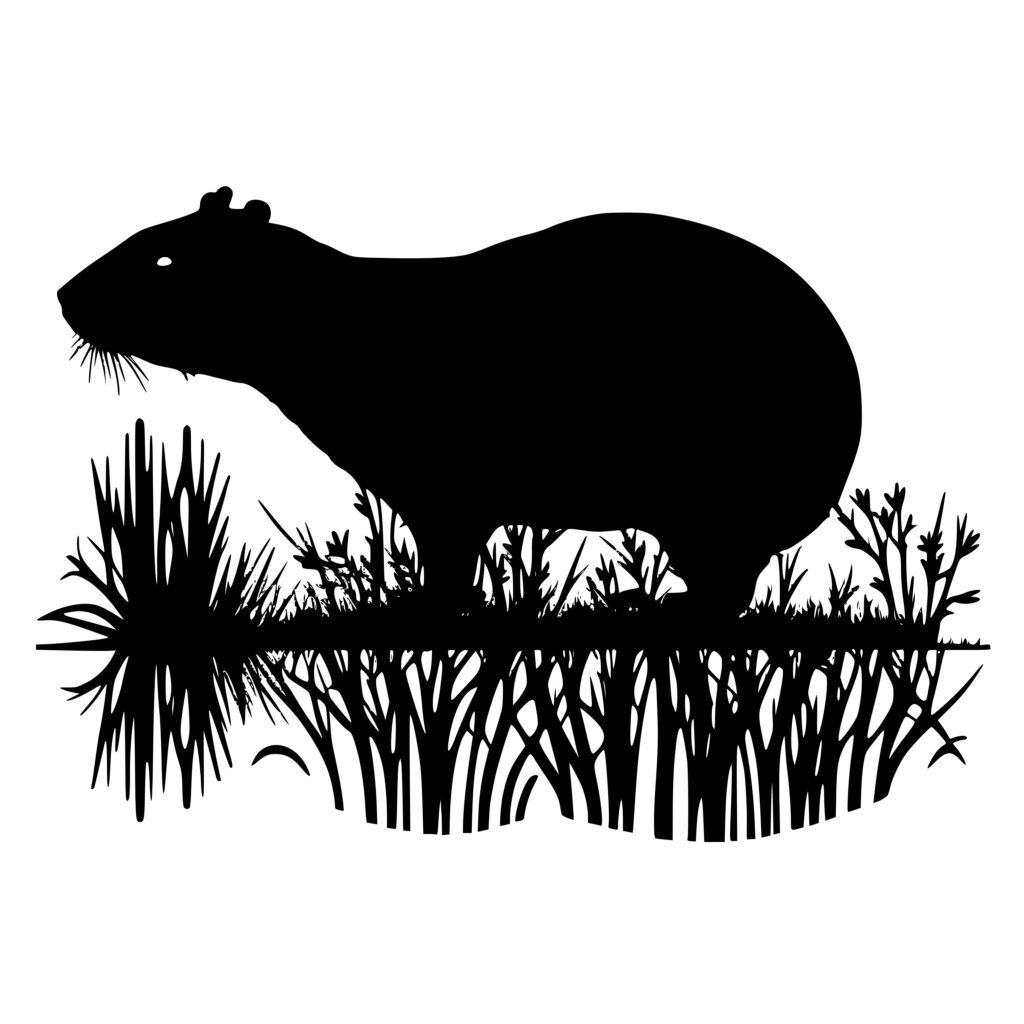 Reader Bee  Capybara, Animal silhouette, American animals