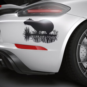 732_Capybara_3534-transparent-car_sticker_1.jpg