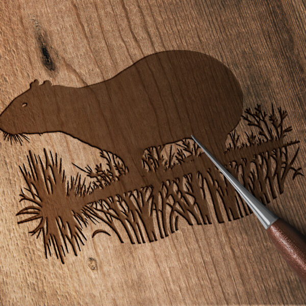 732_Capybara_3534-transparent-wood_etching_1.jpg