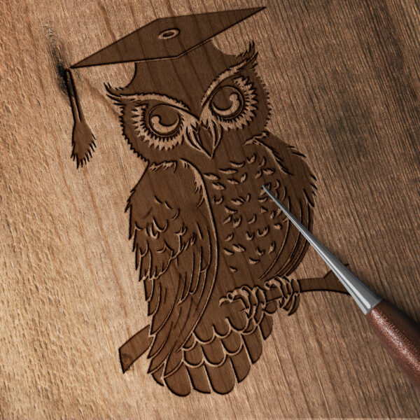 901_owl_with_graduation_cap_3928-transparent-wood_etching_1.jpg
