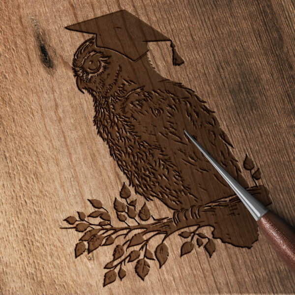 904_owl_with_graduation_cap_8777-transparent-wood_etching_1.jpg