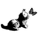 Kitten Chasing Butterfly