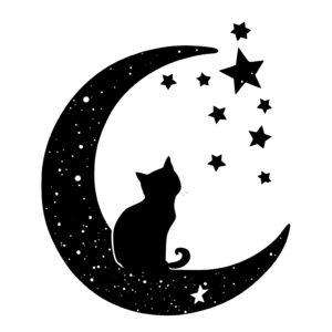 Cat Sitting on Moon with Stars