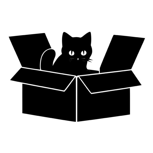 3705_cat_sitting_in_box_7451.jpeg