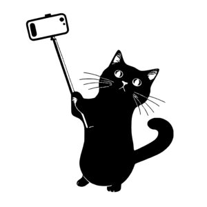 Cat with Selfie Stick
