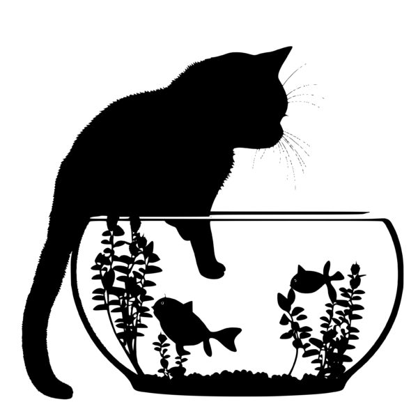 3731_cat_with_paw_in_aquarium_8556.jpeg