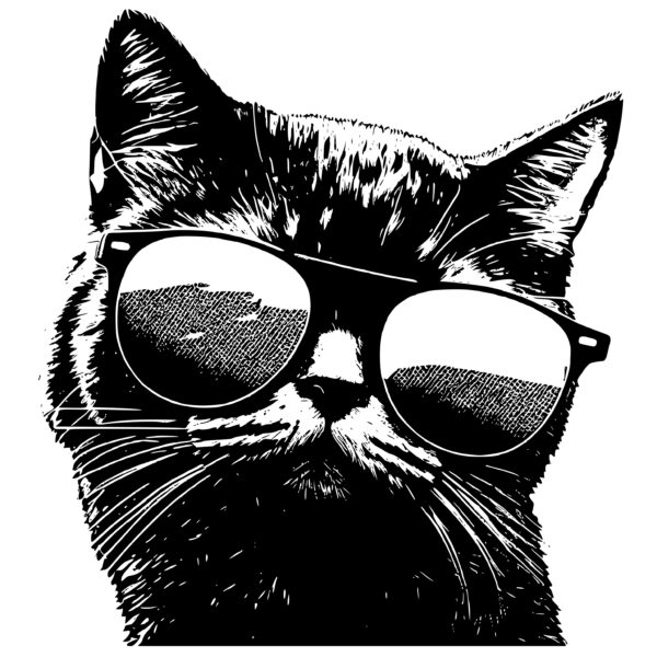 3759_cat_wearing_sunglasses_6475.jpeg