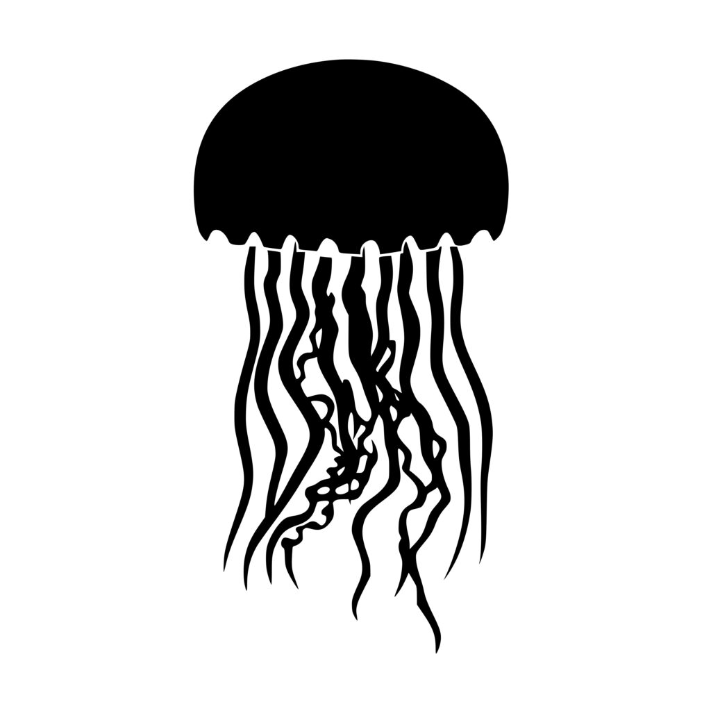 Jellyfish SVG File for Cricut, Silhouette, Laser Machines | Instant ...