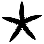 Starfish