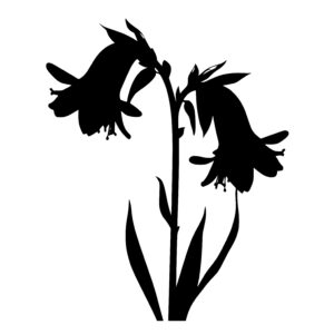 Bluebell Flower SVG File: Instant Download for Cricut, Silhouette & Laser  Machines