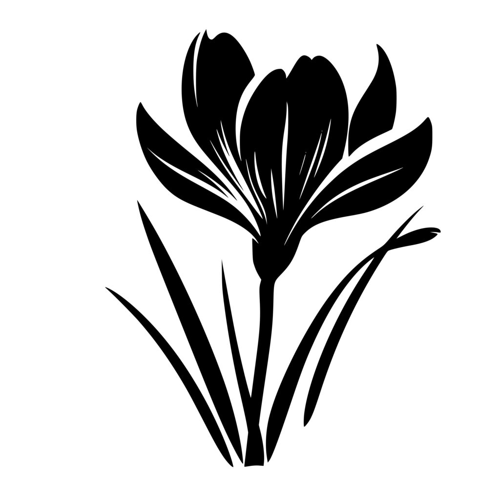 Crocus SVG File for Cricut, Silhouette, and Laser Machines