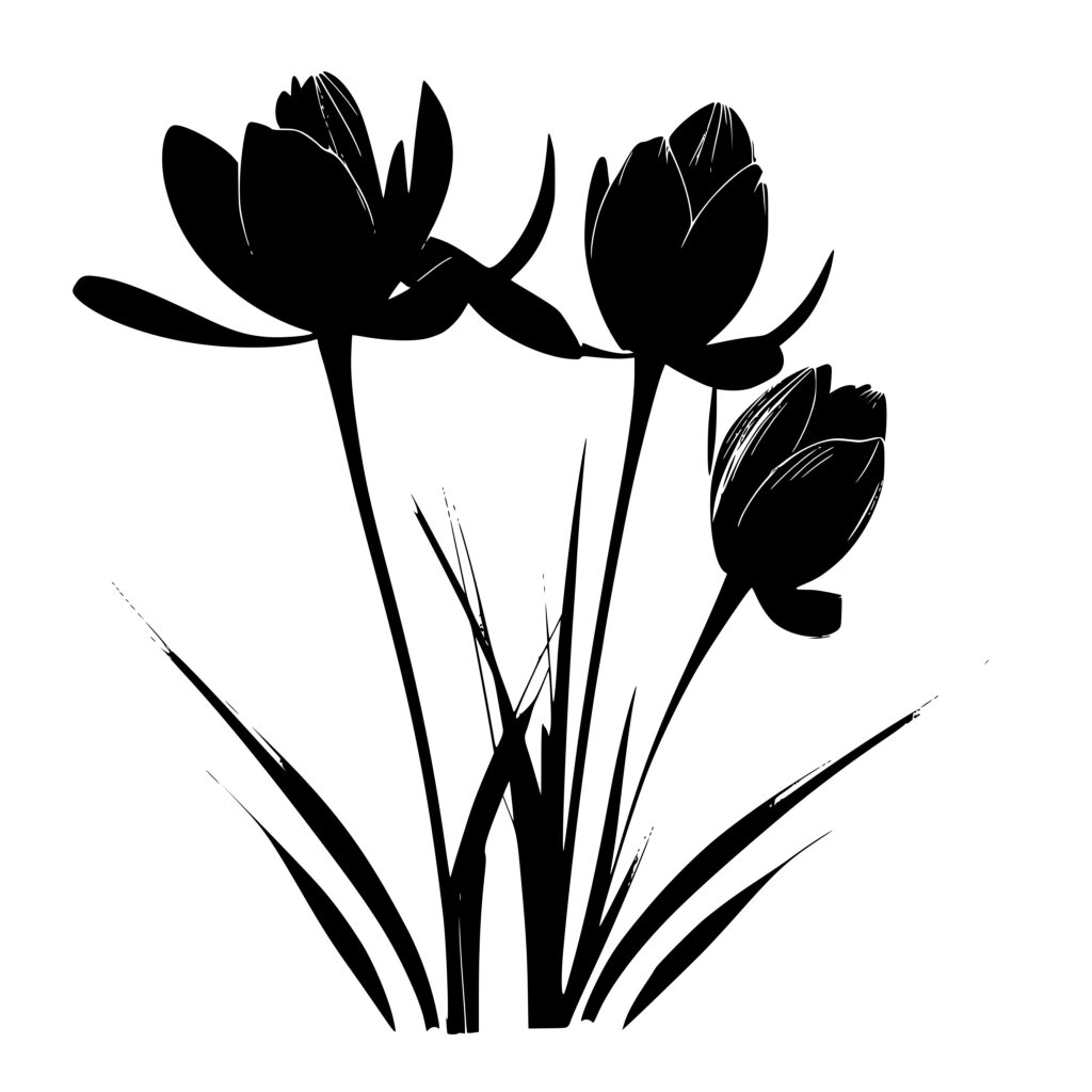 Crocus SVG Image File For Cricut Silhouette And Laser Machines