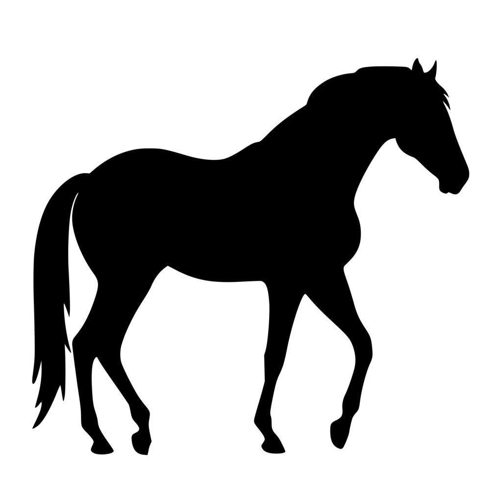 Graceful Horse Svg File: Instant Download For Cricut, Silhouette, Laser 