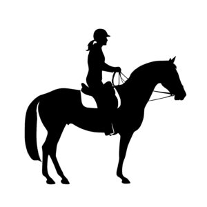 Woman Horse and Rider