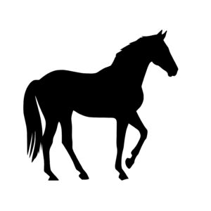 Equine Majesty