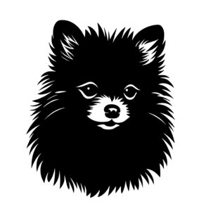 Furry Pomeranian