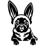 4234_dog_wearing_bunny_ears_5320.jpeg