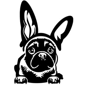 Dog Wearing Bunny Ears